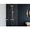 Hansgrohe AddStoris polička rohová kartáčovaný bronz 41741140 www.kupelnashop.sk