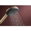 Hansgrohe Raindance Alive Select S Ručná sprcha 125, druhý prúd, EcoSmart, kartáčovaný bronz 24511140