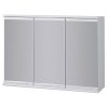 Závesná skrinka so zrkadlom TRIGA I, II, 60 cm, 15 cm, 55 cm