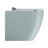 PURA WC misa stojaca, Swirlflush, 36x55cm, spodný/zadný odpad, ghiaccio dual-mat
