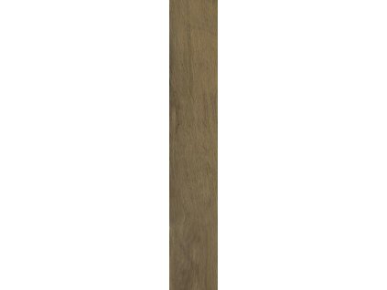 WARMWOOD HONEY