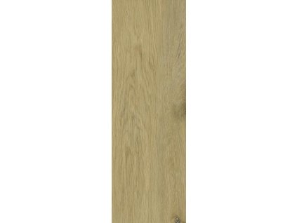 DECORWOOD GOLD 20X60