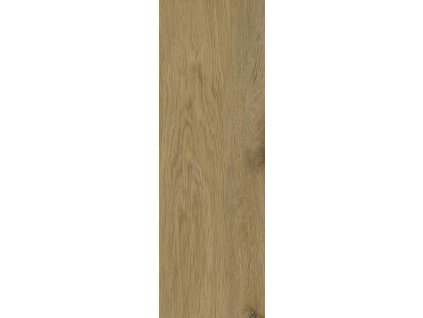 DECORWOOD HONEY 20X60