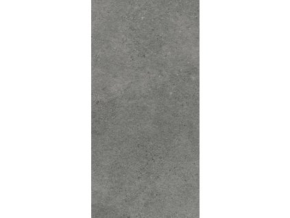AUTHORITY GRAPHITE 60X120