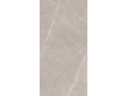 RITUAL TAUPE 60X120 MAT