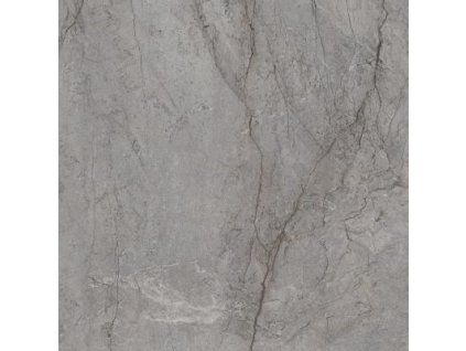 VISIONER grey 120x120 lesklá