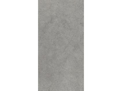 AUTHORITY grey 60x120 MAT