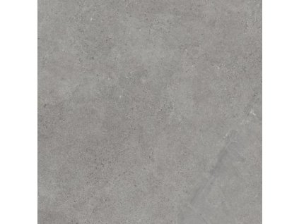 AUTHORITY grey 120x120 MAT