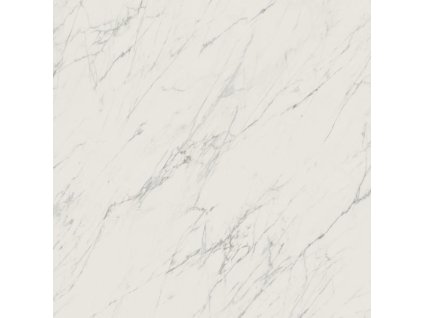 ELITE WHITE 119,8X119,8 POLER