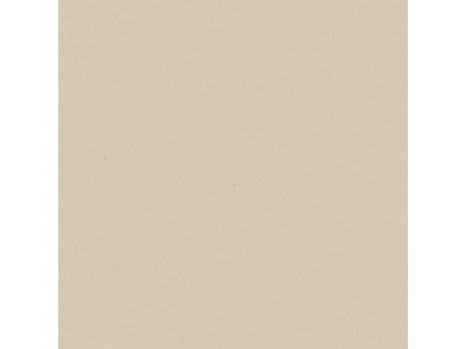 MODERNIZM BIANCO 19,8X19,8 REK