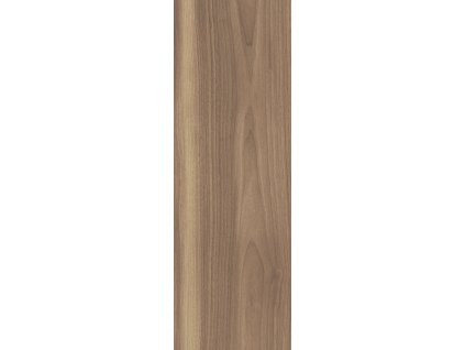LIGHTMOOD HONEY  20X60