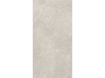 SUNNYDUST LIGHT GRYS MAT 59,8X119,8