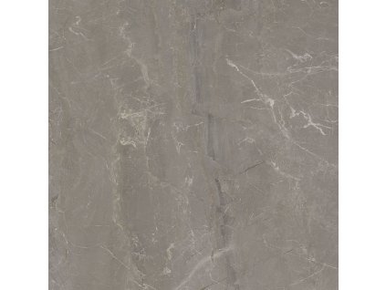 WONDERSTONE LIGHT GREY POL 59,8X59,8