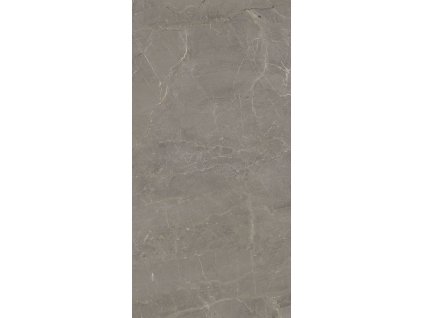 WONDERSTONE LIGHT GREY POL 59,8X119,