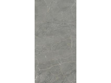 MARVELSTONE LIGHT GREY MAT 59,8X119,
