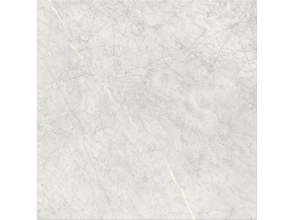 STONE PARADISE LIGHT GREY MATT 59,8X