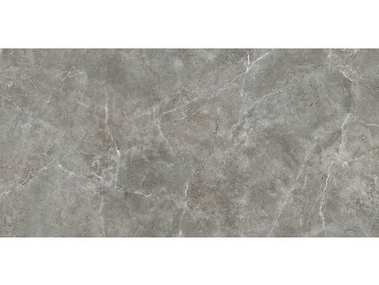 SILVER POINT GREY MAT 59,8X119,8
