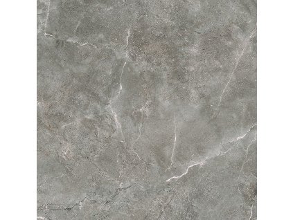 SILVER POINT GREY MAT 59,8X59,8