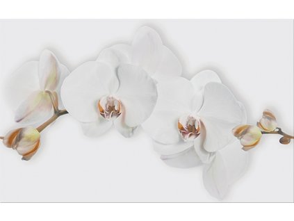 MARISOL WHITE INS FLOWER 25X40