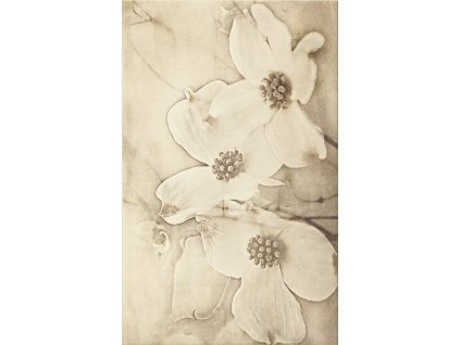 TUTI BEIGE INS FLOWER 25X40