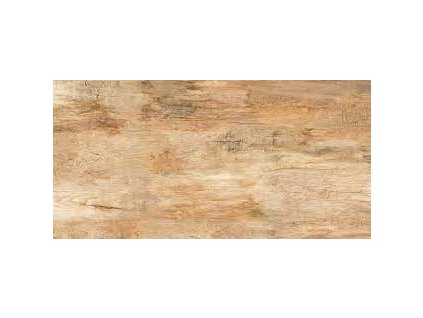 WALNUT BROWN MATT 60X120