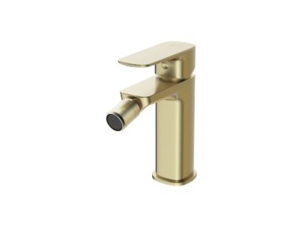 LARGA bidet bat gold mat S951-381