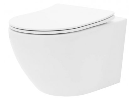 REA CARLO RIMLESS FLAT WC MISA so sedátkom  Rozmery (mm): 370x490x330