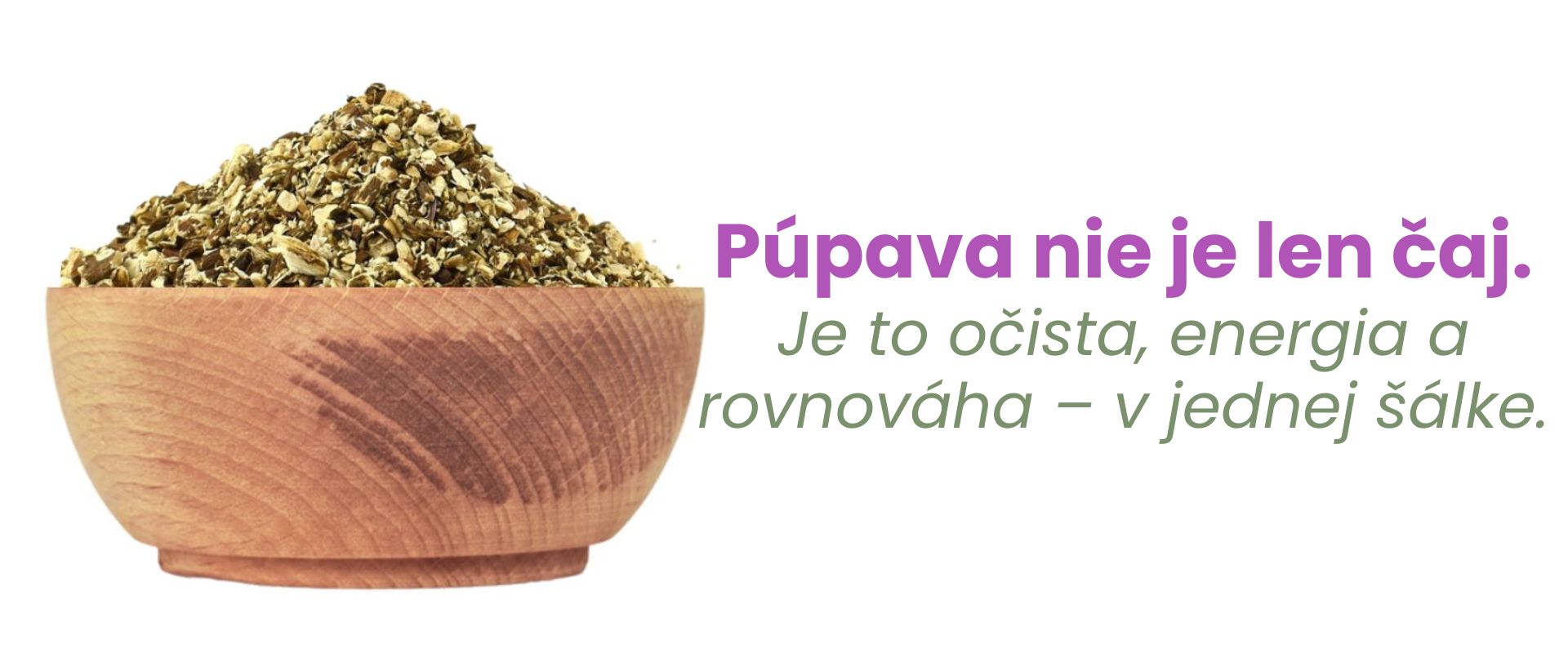 Púpava koreň – bylina pre trávenie a pečeň