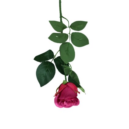 Umělá růže růžová se zeleným lemem - 70cm