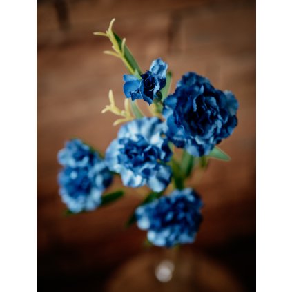Flowers 61