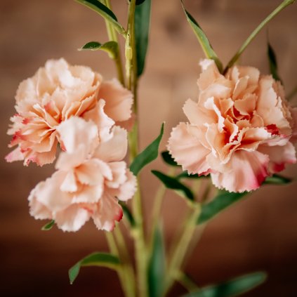 Flowers 72