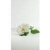 Umělá Pivoňka rozkvetlá bílá 31cm