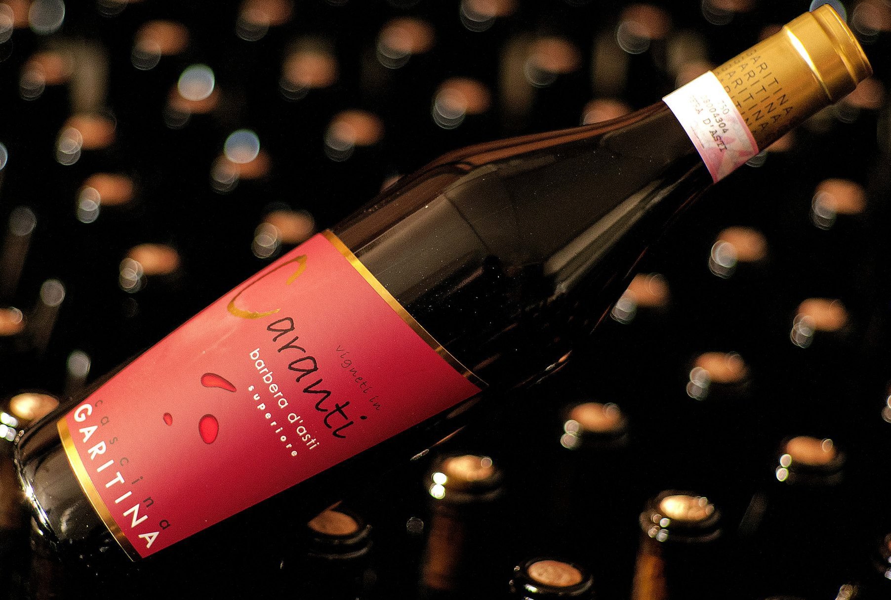 Barbera