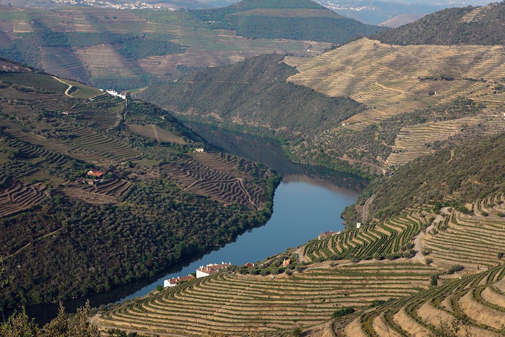 Portská a portugalská vína
