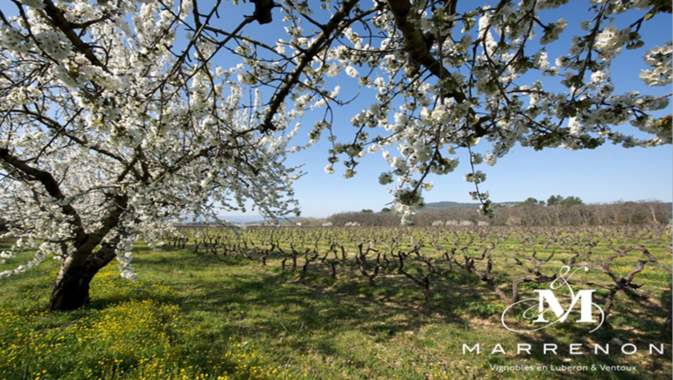 Luberon – elegantní a moderní tvář jižní Rhôny