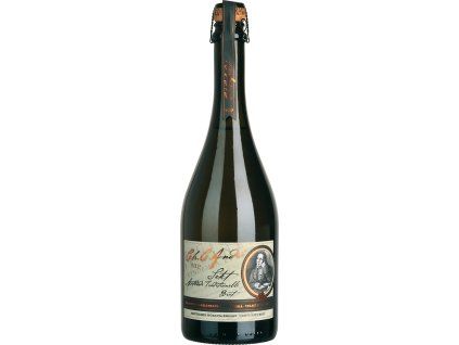 VIP Sekt ŠSV