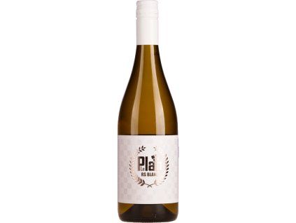 leplanBlanc1103 21 small