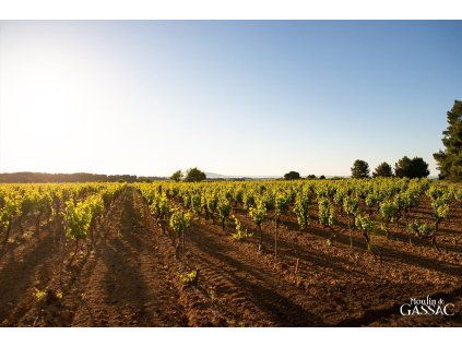 Combe Calcaire Blanc