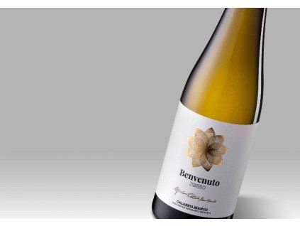 Zibibbo - Cantine Benvenuto