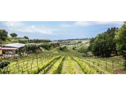 Cantine Benvenuto