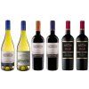 sada6vin errazuriz