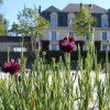 Sauternes - Guiraud 1er Grand cru classé