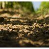 terroir courlat