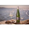 vins moulin picpoul3