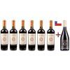 6x Malbec Tributo Caliterra + 1x Malbec Tributo Petreo