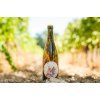 Folie de Gassac Pet Nat