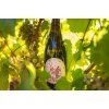 Folie de Gassac Pet Nat