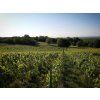 Champagne M.Gonet - Authentique