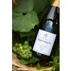 Champagne Bauget-Jouette Millesime Blanc de Blanc 2016