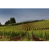 res vineyards carousel dec 2 900x600